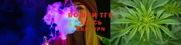 ГАЛЛЮЦИНОГЕННЫЕ ГРИБЫ Алзамай