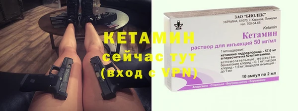дживик Алексин