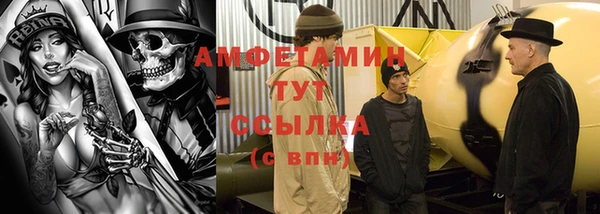 ГАЛЛЮЦИНОГЕННЫЕ ГРИБЫ Алзамай