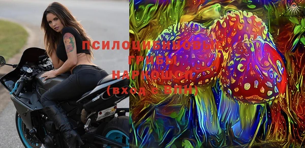 ГАЛЛЮЦИНОГЕННЫЕ ГРИБЫ Алзамай