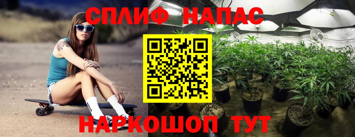 Шишки марихуана марихуана Чапаевск